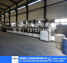 微波干燥膨化機 提升食品加工效率的先進機械設備